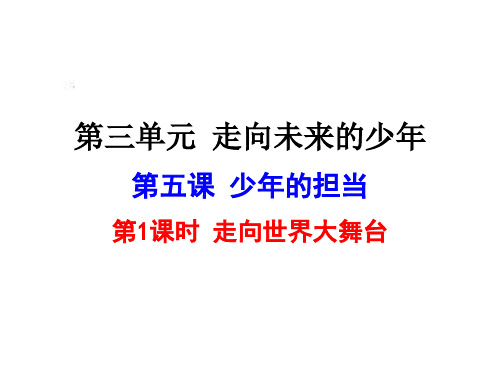 人教版道德与法治九年级下册5.1走向世界大舞台课件(共25张PPT)