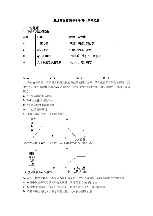 深圳横岗横岗中学中考化学模拟卷