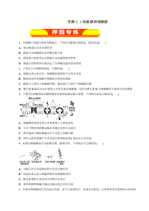 专题2.1 细胞膜和细胞核(押题专练)-2019年高考生物一轮复习精品资料(原卷版)
