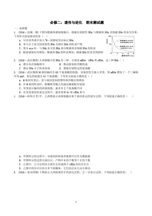 生物必修二 遗传与进化  期末测试题(带答案)