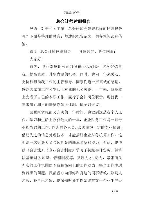 总会计师述职报告