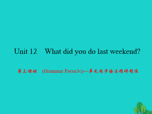 浙江专版七年级英语下册Unit12Whatdidyoudolastweekend第3课时(GrammarFocus_3c)同步语法精讲精练课件新版