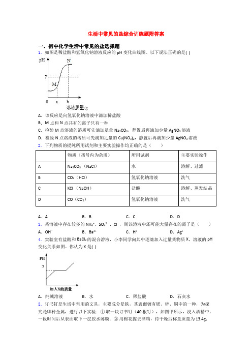 生活中常见的盐综合训练题附答案