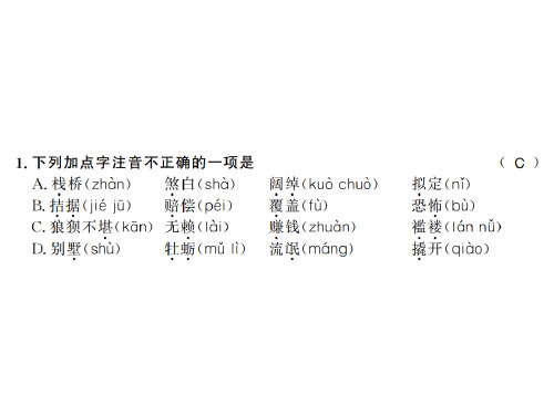 人教版九年级语文上(黄冈)习题课件:15 (共24张PPT)