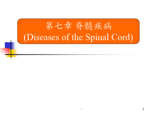 脊髓疾病诊断治疗ppt课件