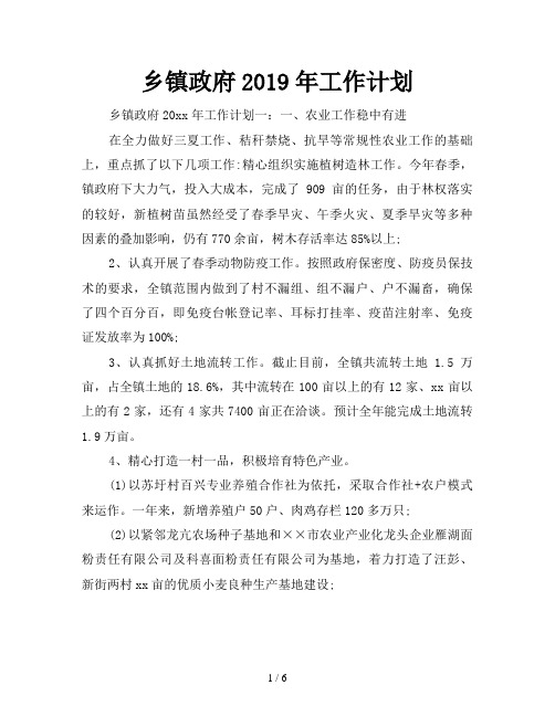 乡镇政府2019年工作计划