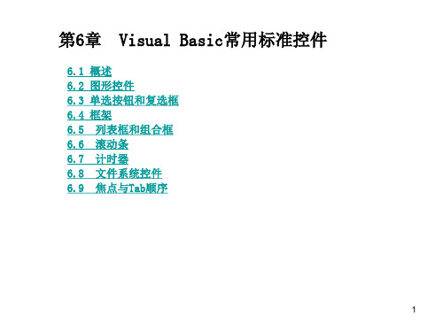 VB6.0基础教程 之 第6章 Visual Basic常用标准控件