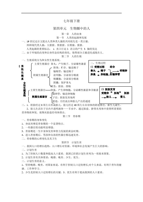 七年级下册生物复习提纲