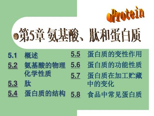 食品化学PPT讲义,适用中国农业大学出版社阚建全版本---05蛋白质5