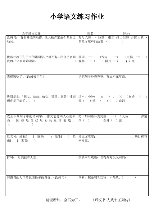 小学五年级语文精题选做I (19)