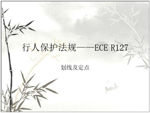 行人保护划线及定点-ECE-R127.PPT 