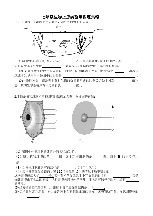 七年级上册生物识图题集锦