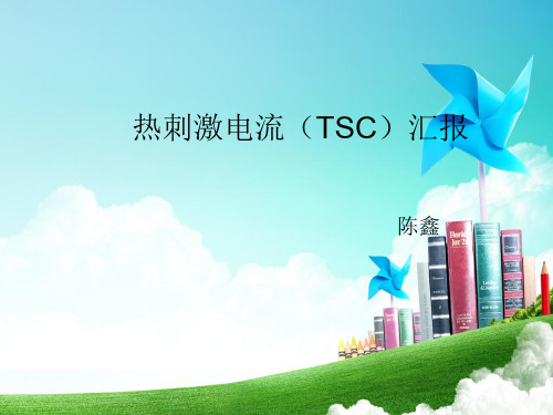 tsc汇报