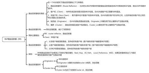 10BGP路由反射器(RR)