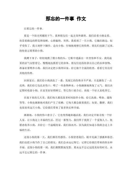 那忘的一件事 作文