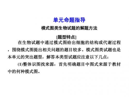 新课标高考总复习高三生物一轮复习课件第二单元细胞的基本结构与物质输入和输出单元指导