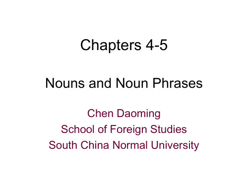 华南师范大学英语专业大二语法课5-Nouns