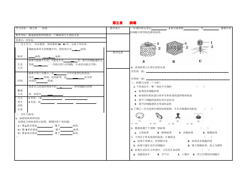 人教版生物八年级上册同步：第5单元第5章 第五章 病毒 学案1