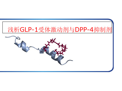 浅析GLP-1受体激动剂与DPP-4抑制剂