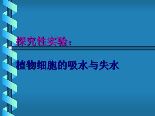 植物细胞的吸水与失水实验