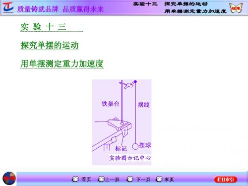 实验十三 探究单摆的运动 用单摆测定重力加速度