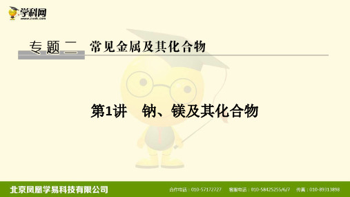 2021高考化学一轮复习教学课件:专题二钠、镁及其化合物(74张ppt)