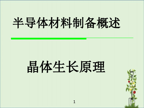 半导体材料与工艺之-晶体生长原理资料