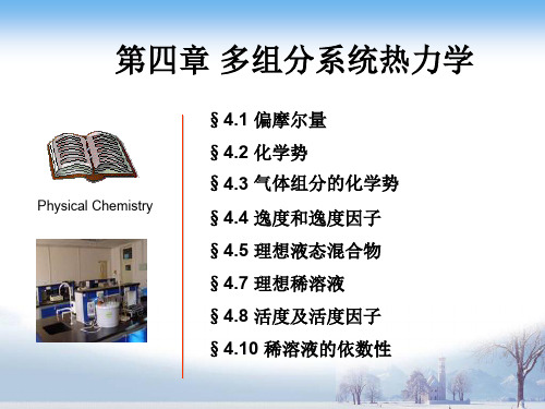 第四章 多组分系统热力学 物理化学课件.ppt