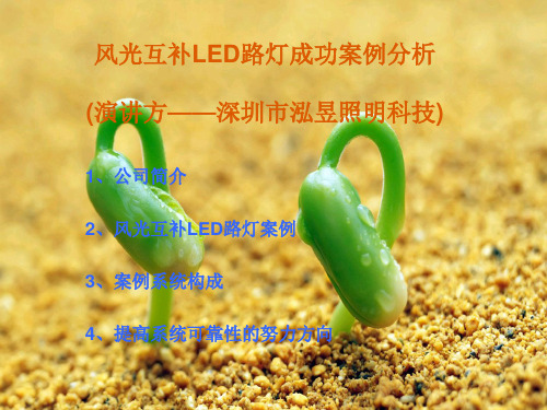 风光互补LED路灯成功案例分析幻灯片PPT