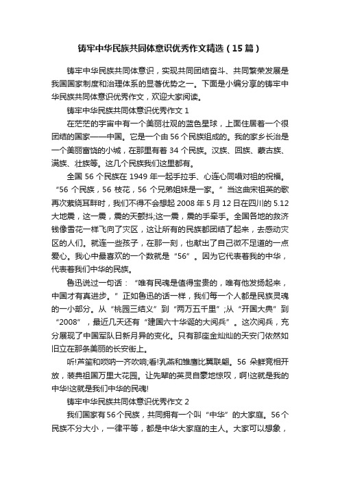 铸牢中华民族共同体意识优秀作文精选（15篇）