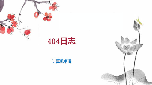 404日志 