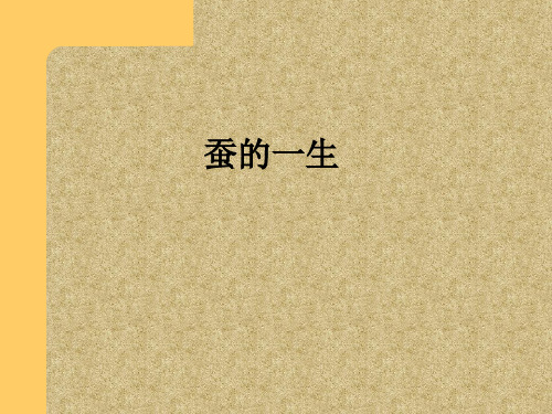 教科版三年级下册科学第二单元《第2课蚕的生长变化PPT课件》