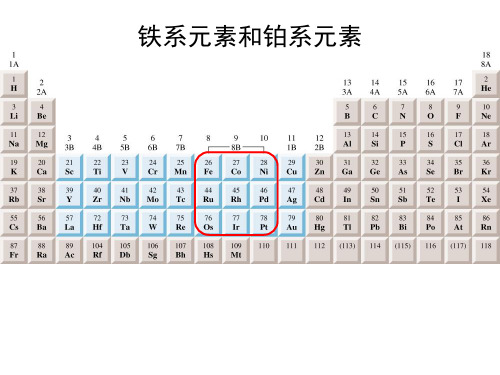 无机化学：铁系元素和铂系元素  