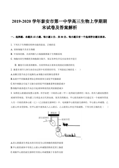 2019-2020学年泰安市第一中学高三生物上学期期末试卷及答案解析