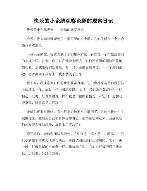 小学三年级作文快乐的小企鹅观察企鹅的观察日记