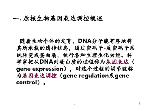 原核生物基因表达调控PPT课件