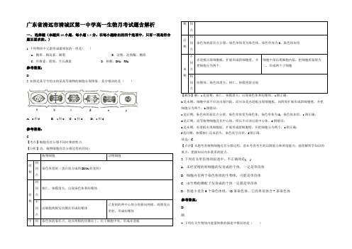 广东省清远市清城区第一中学高一生物月考试题含解析