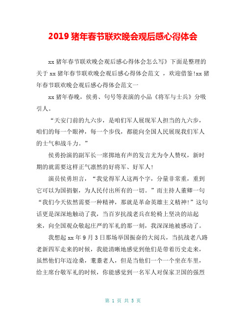 2019猪年春节联欢晚会观后感心得体会