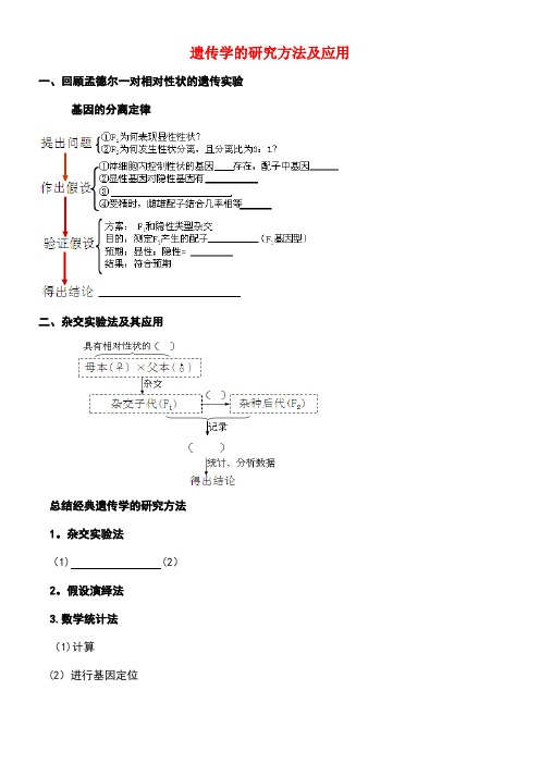 北京市高考生物总复习遗传与进化——遗传的基本规律遗传学的研究方法及应用学案(无答案)