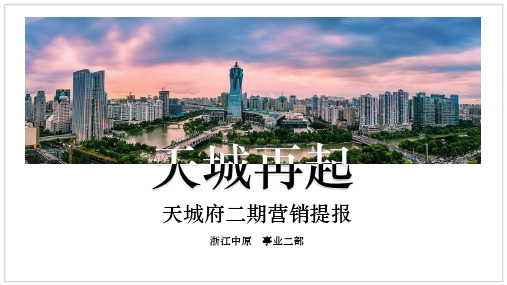 2019杭州天城府天著二期营销提报