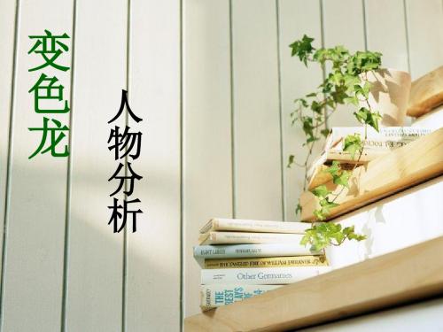 变色龙第二课课件