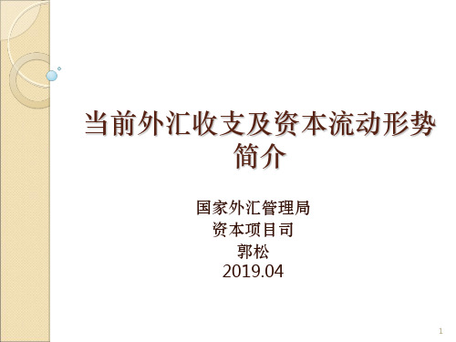 当前外汇收支及资本流动形势简介PPT精品文档29页