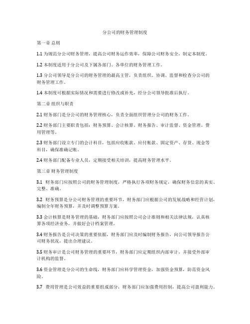 分公司的财务管理制度