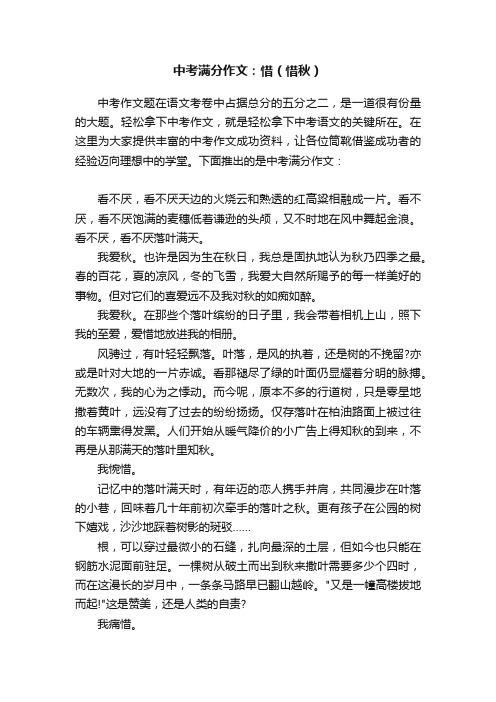中考满分作文:惜(惜秋)