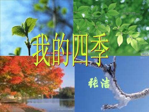 我的四季
