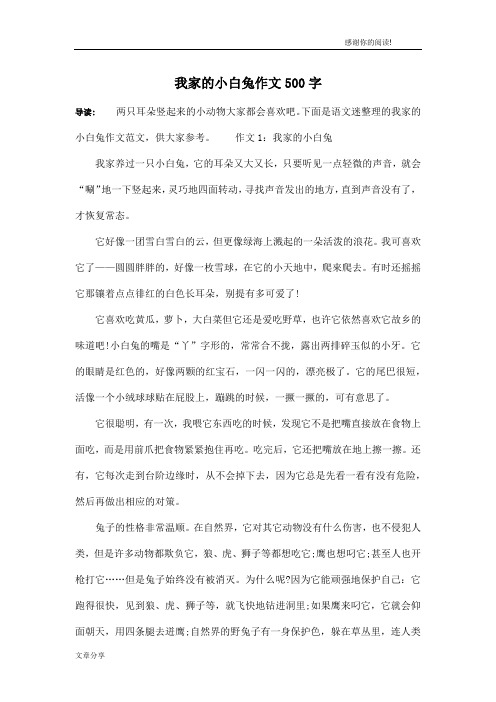 我家的小白兔作文500字