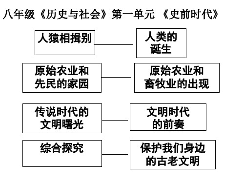 第一课人猿相揖别5