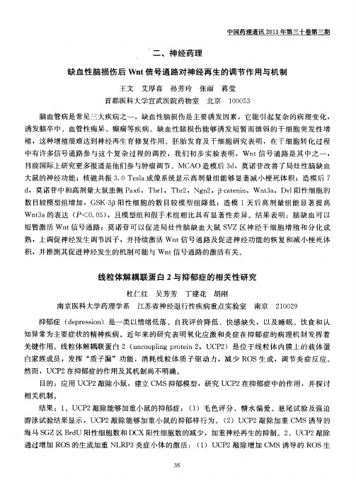 二、神经药理——缺血性脑损伤后Wnt信号通路对神经再生的调节作用与机制