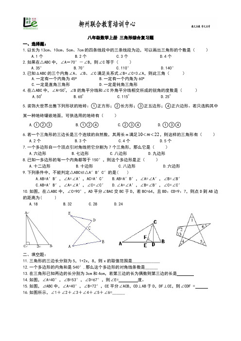 精品 八年级数学上册 三角形综合练习题01