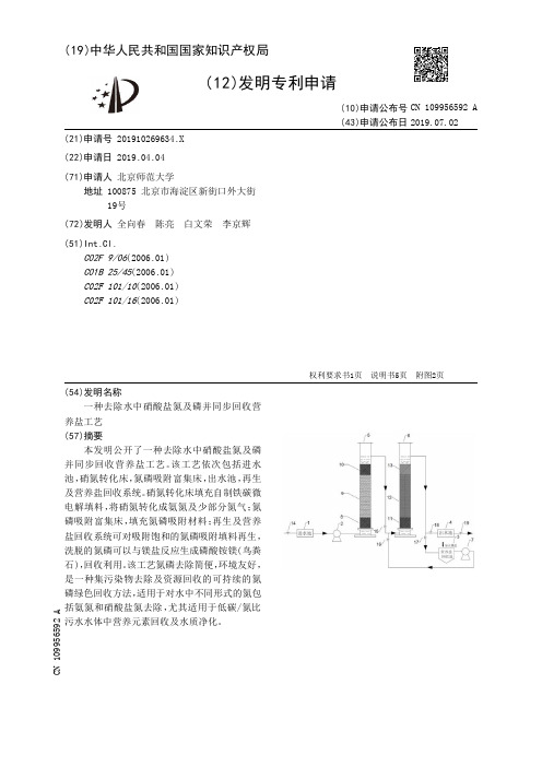 【CN109956592A】一种去除水中硝酸盐氮及磷并同步回收营养盐工艺【专利】